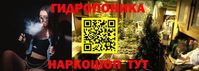 эйфоретик Краснодар
