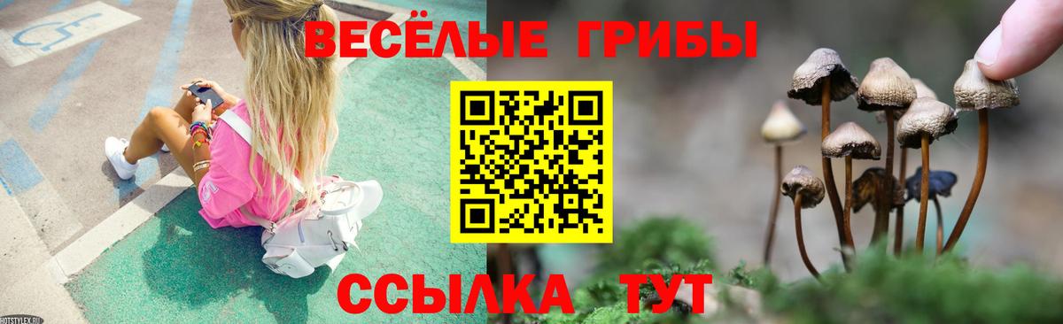 Галлюциногенные грибы GOLDEN TEACHER  Вход с VPN  Галлюциногенные грибы мухоморы  Карталы 